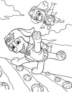 Desenho do Mate de Carros para colorir e imprimir