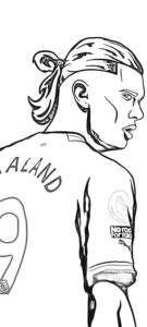Erling haaland de perfil para imprimir