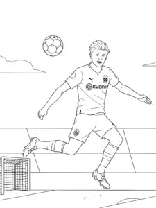 Erling Haaland