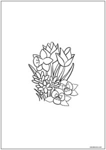 Desenho de papoulas para colorir