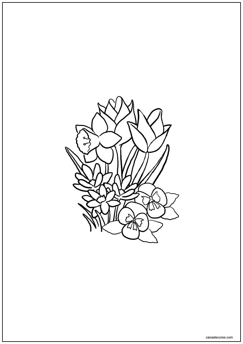Desenho de papoulas para colorir